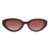 Lola Tortoise Shell Sunglasses