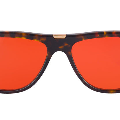 PHILOSOPHER III Tortoise Shell Brown -themonk