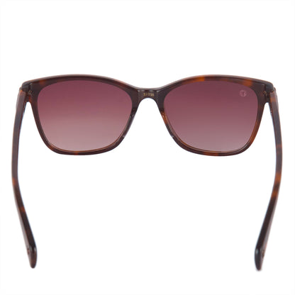 Florence Tortoise Shell MONK Brown -themonk